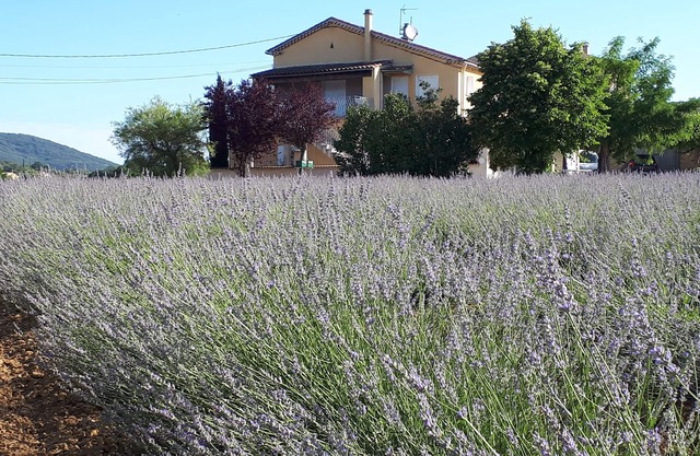 Gite Le Christol between Gard and Ardèche