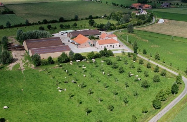 Gite Prairie Fleurie