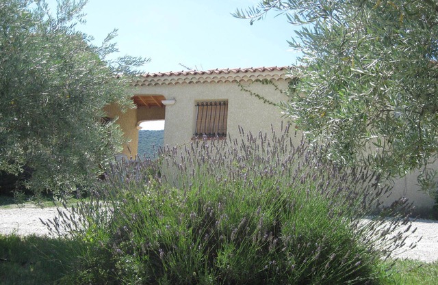 GITE RAISIN side VENTOUX **