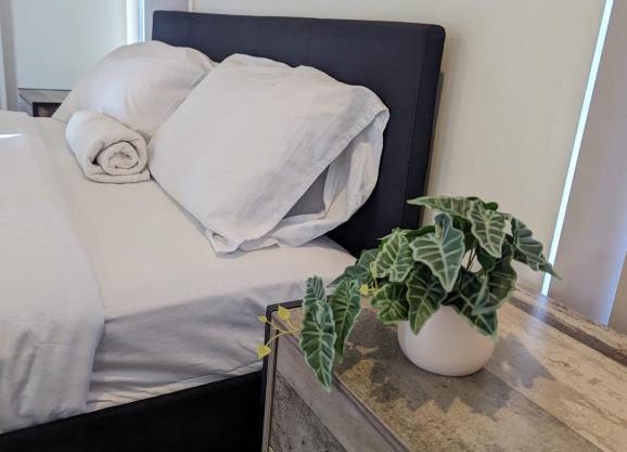 Gladstone Entire House 4 Beds 2 Baths Air-conditioned in City