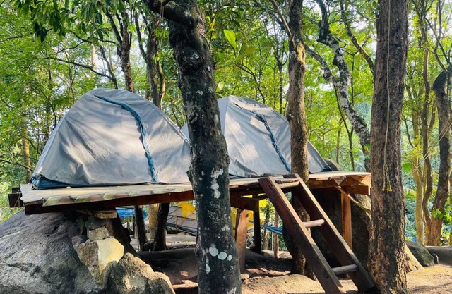 gladstone natural Camping