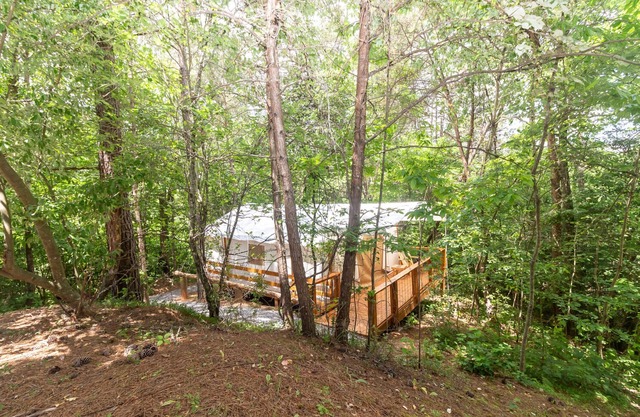 Glamping en Copperhill - "El Prospector"