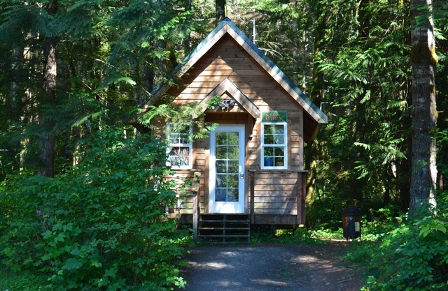 Glamping at its finest in an adorable tiny home cabin that sleeps up to three! Shared hot tub. Beautiful property surrounding the cabin. Short stroll to Copper Creek. Walking distance to Copper Creek Restaurant. 2 miles to Mt Rainier National Park.