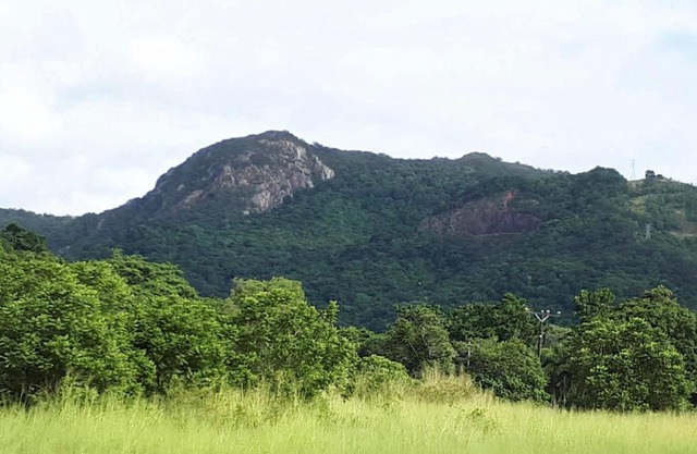 Glamping at Mirimbi