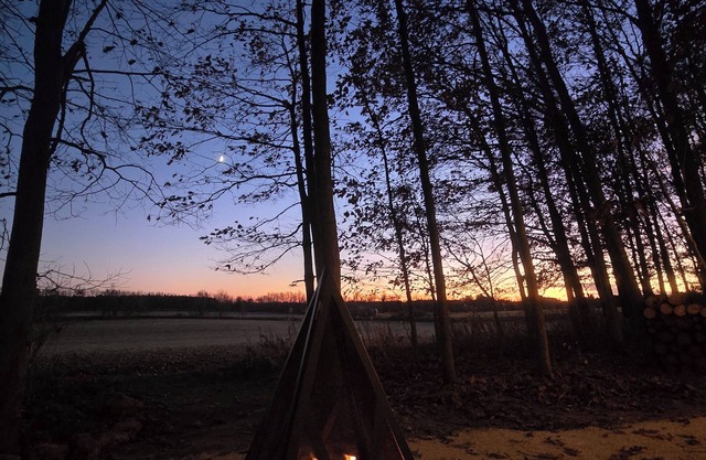 Pet Friendly Glamping by Lavender Farm, Brewery, Mono Cliffs, Hockley Valley