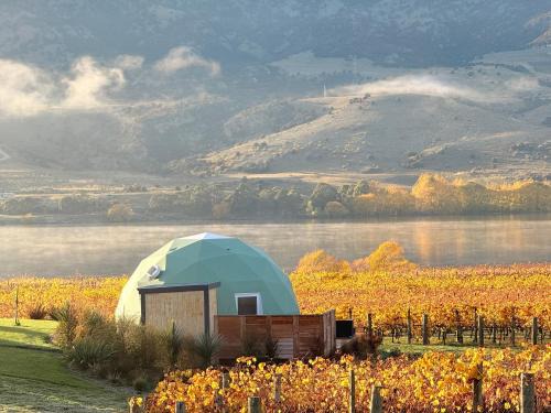Glamping Dome - Rosé