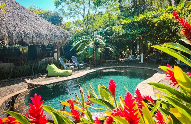 Glamping Hotel Flor y Bambu