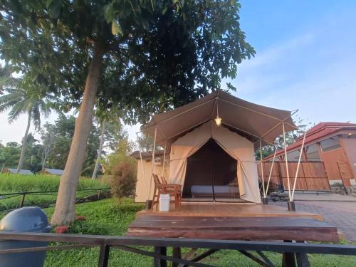 Glamping