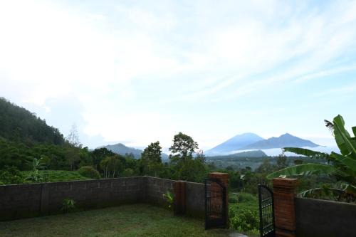 Glamping Jungle Side