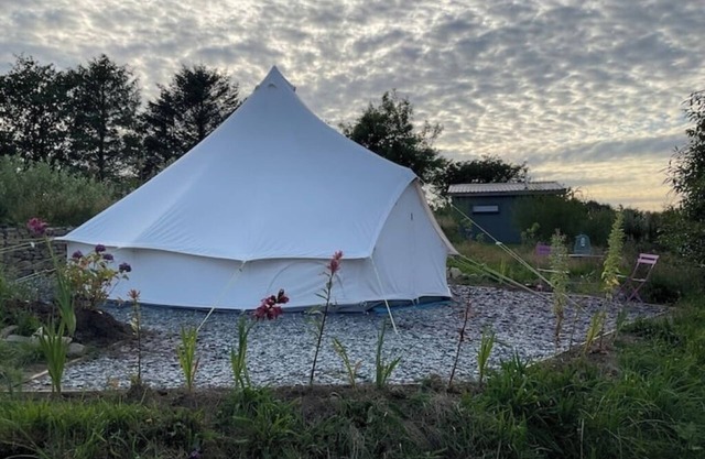 Glamping Meadow Bell Tent