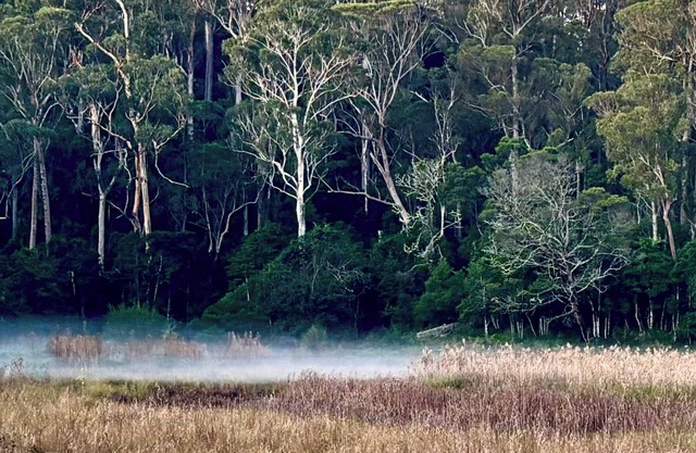 Glamping nature escape 5 minutes from pristine empty beaches