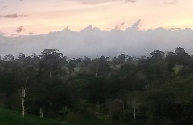 Glamping on a coffee plantation on the Panama Costa Rica broder.