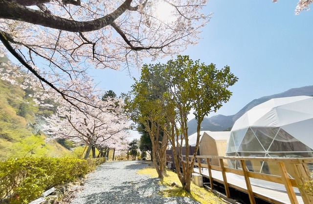 Glamping RiversidePets allowed with toilet and openair bath Room only plan / Ashigarakamigun Kanagawa
