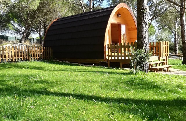 Glamping Sintra. Aprovecha la tranquilidad del bosque.