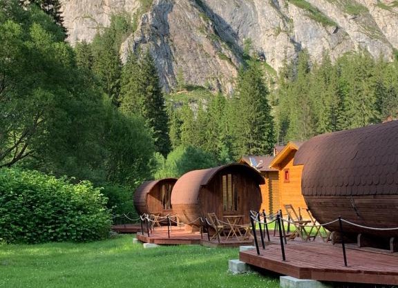 Glamping Suhardul Mic