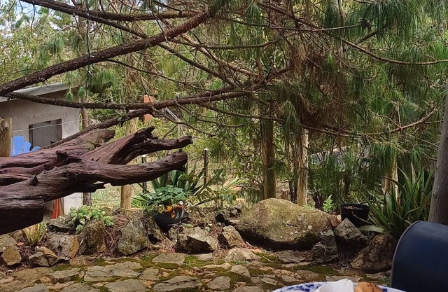 Glamping Volver a la Tierra