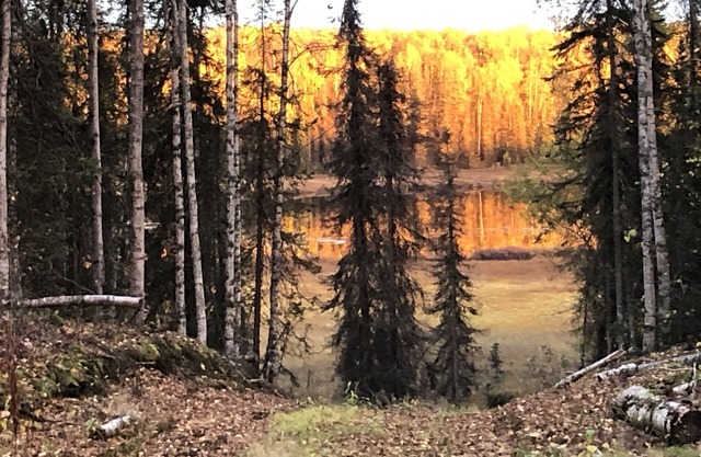 Glamping with Lake Views at Birch Haven Yurt