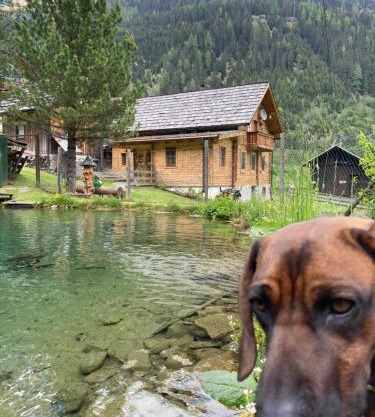 Gletscher Chalet