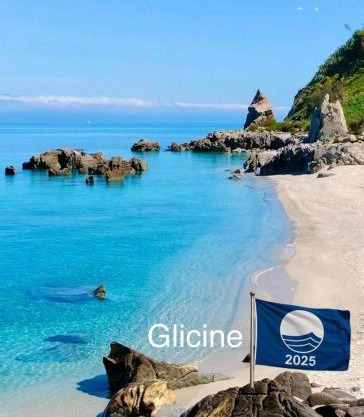 Glicine