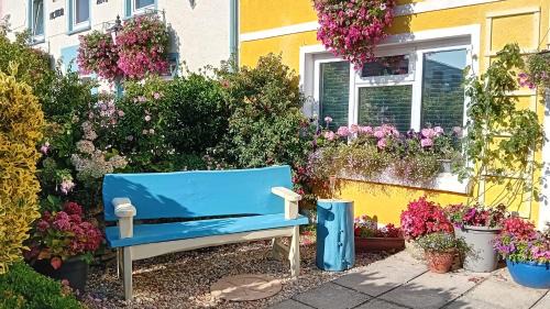 Globe Guesthouse