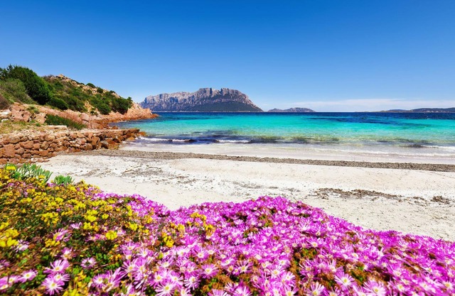 Glori House 50m From Marina di Olbia
