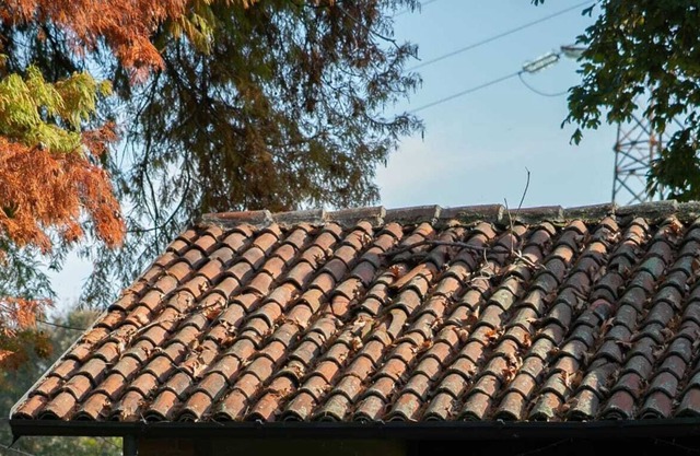 Glozo Villa Sant'Espedito Resort