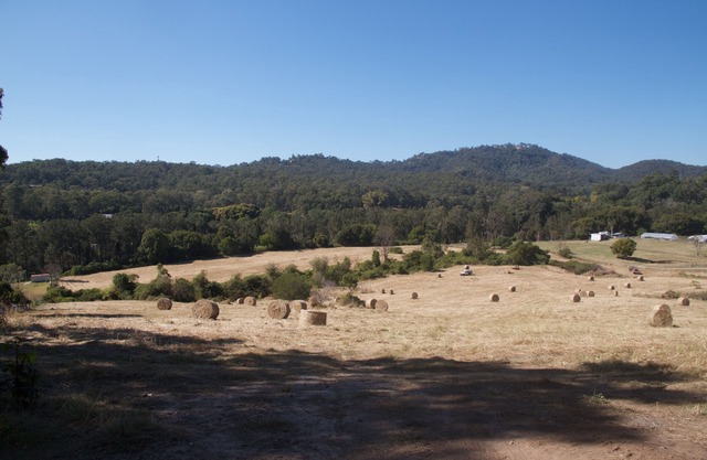 Gold Coast Hinterland Farmstay