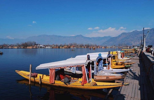 Golden Crest Houseboats