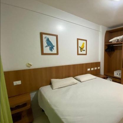 Golden Dolphin Grand hotel 369 - 1 quarto