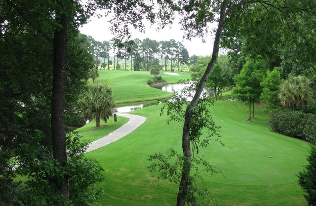 ¡Visite Golf Paradise!