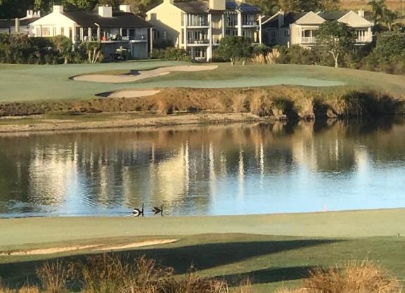 Golf@Gulf