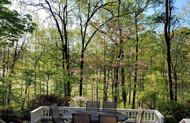 Golf, Relaxation, Adventure, Fun awaits you in this beautiful spacious home