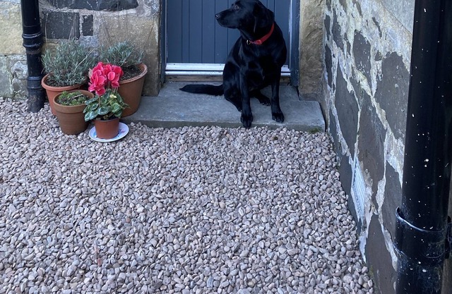 Gorgeous adjoined annexe of country house , 20 mins to beach.