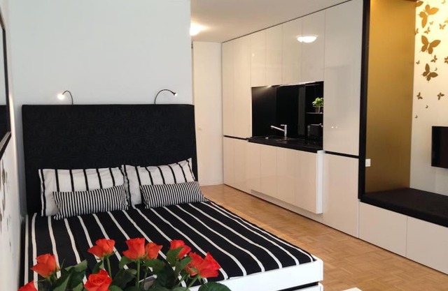 Gorgeous central flat with garage