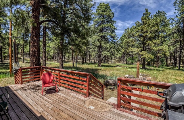 Gorgeous & Historic 3 BR Log Cabin w/ Forest Views / 20 Minutes from Flagstaff/