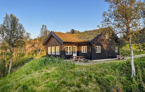 Gorgeous Home In Rauland With Sauna