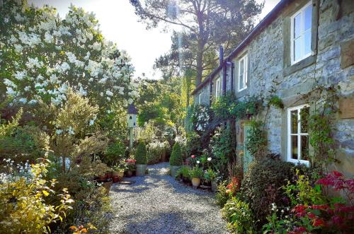 Gorgeous romantic cosy cottage retreat with views