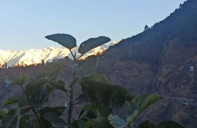 Goroomgo Green Valley Homestay Chopta