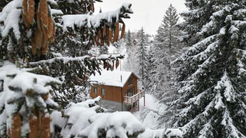 Gorska Vila
