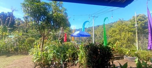Gosela Bali