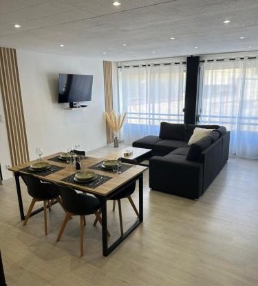 Grand appartement Roanne centre