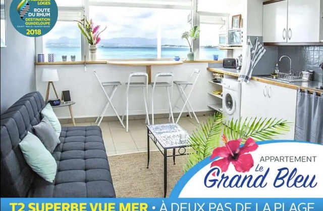 Grand bleu-Superbe T2 vue mer & accès plage