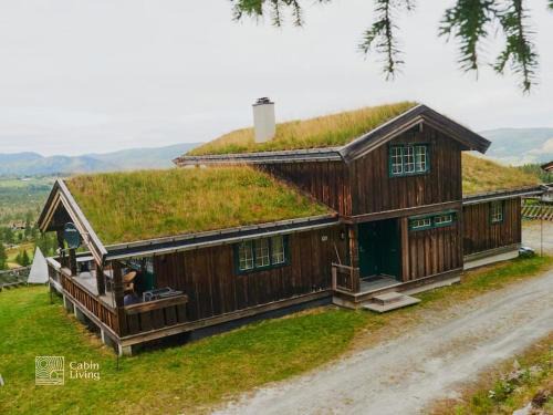 Grand cabin at Nesfjellet with lovely view, inddor Jacuzzi & sauna