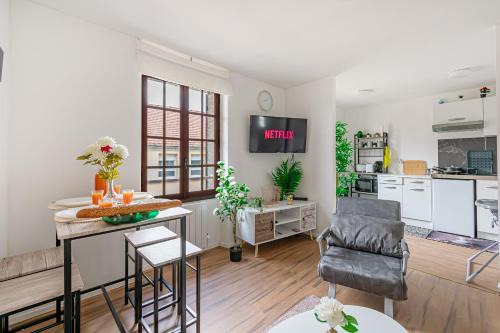 Grand logement 38m2, Aéroport Paris CDG, Disneyland Paris, Parc Astérix, Chambre, Salon