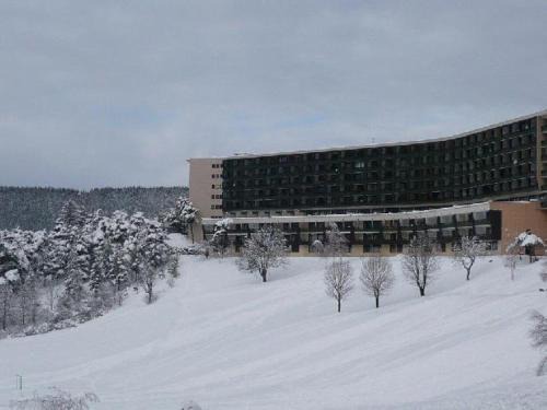 Grand Studio VILLARD DE LANS Les Glovettes