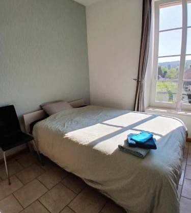 Grande chambre lumineuse au coeur de la Gaume - Chambre 4 - 1er étage