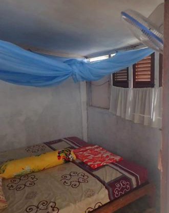 GRANDMA GUEST HOUSE including jungle Trek