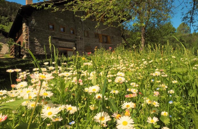 Grange Epiney Bed e Breakfast