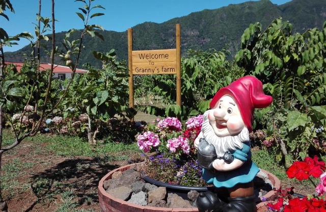 Granny's farm