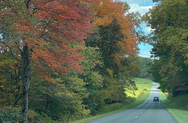 Gratitude View - Summer's heating up; it's cooler in the mountains